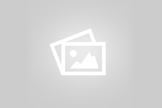 انواع فیلترهای خودرو رایکا 